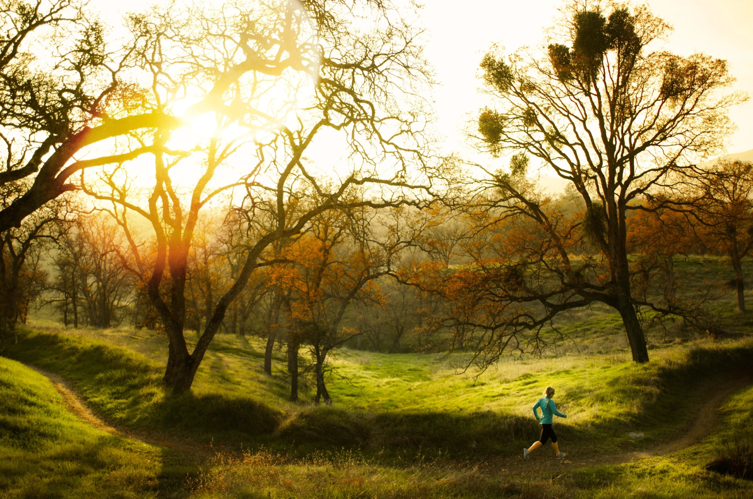 Trails & Open Space: Step outside and let nature lead